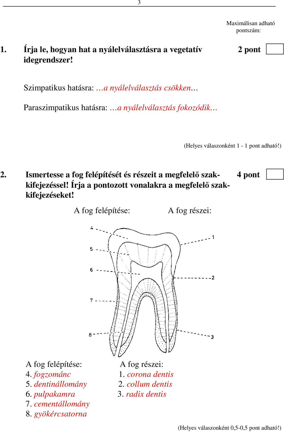 Ismertesse a fog felépítését és részeit a megfelelő szak- 4 pont kifejezéssel! Írja a pontozott vonalakra a megfelelő szakkifejezéseket!