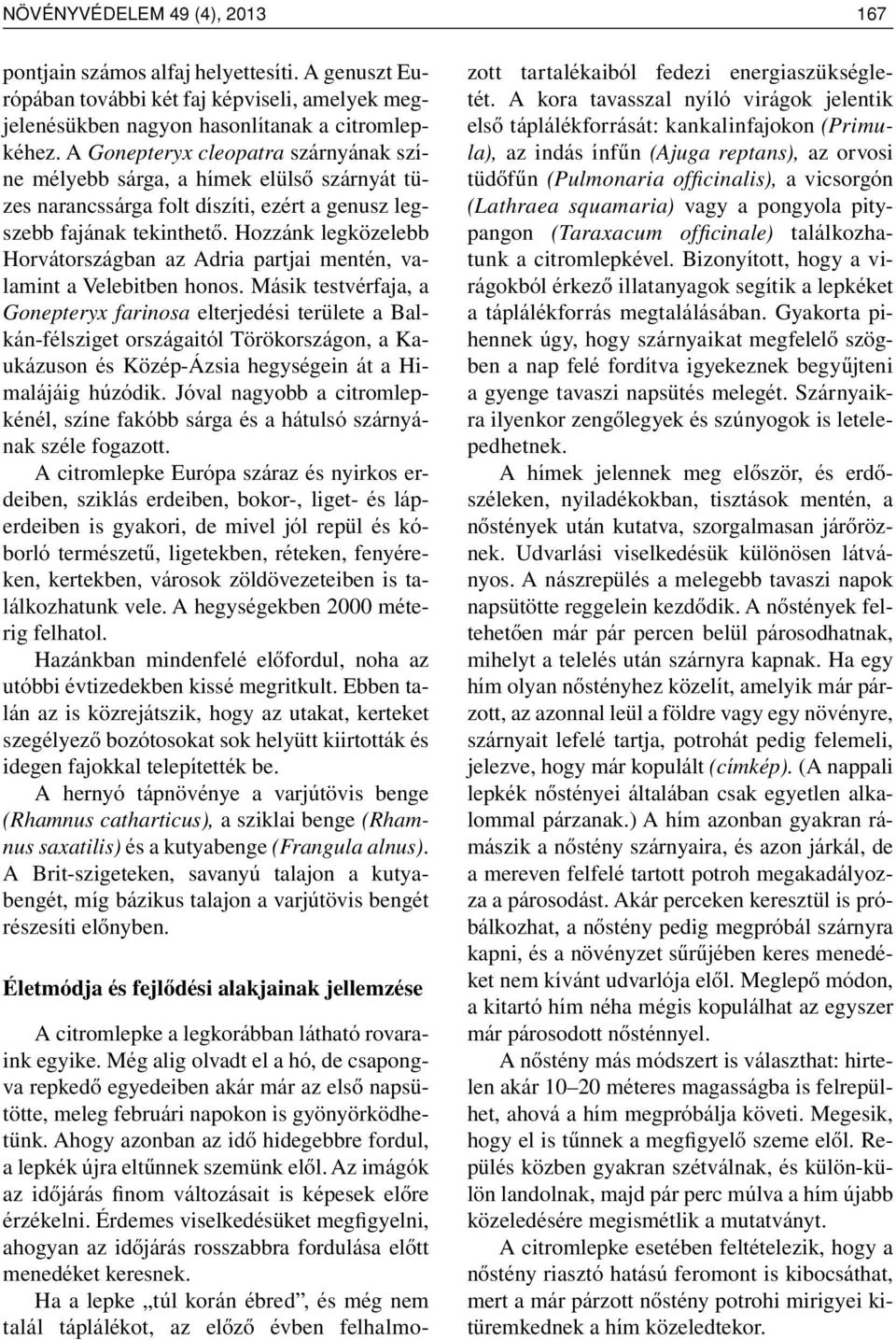 Hozzánk legközelebb Horvátországban az Adria partjai mentén, valamint a Velebitben honos.