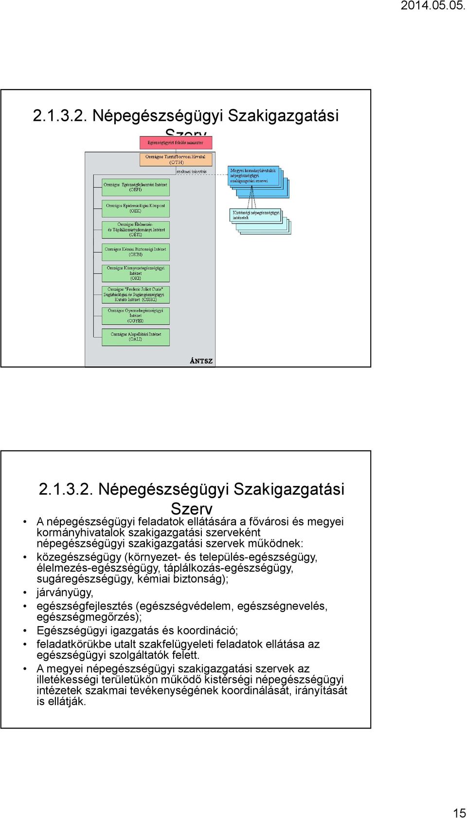 járványügy, egészségfejlesztés (egészségvédelem, egészségnevelés, egészségmegőrzés); Egészségügyi igazgatás és koordináció; feladatkörükbe utalt szakfelügyeleti feladatok ellátása az egészségügyi