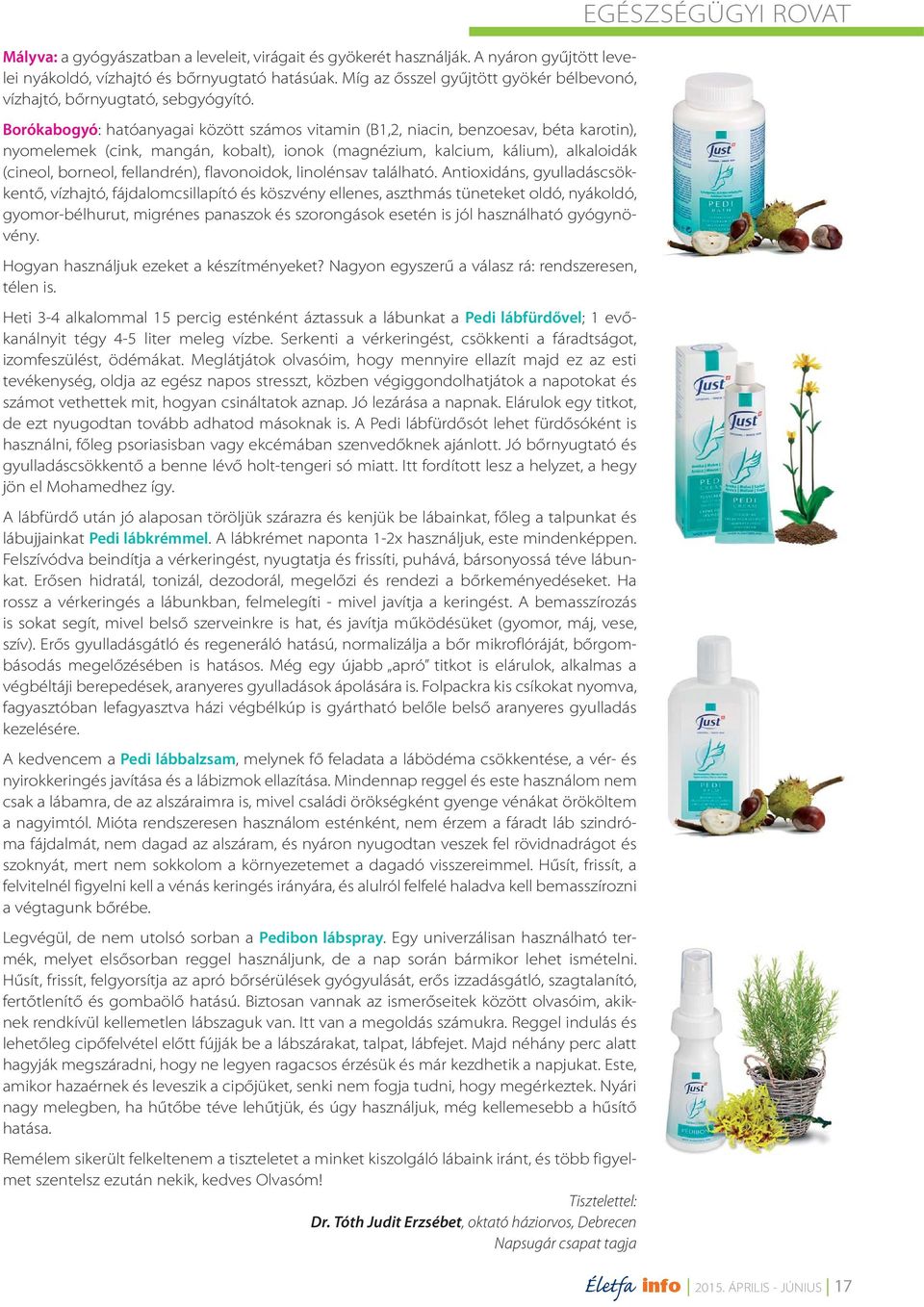 Borókabogyó: hatóanyagai között számos vitamin (B1,2, niacin, benzoesav, béta karotin), nyomelemek (cink, mangán, kobalt), ionok (magnézium, kalcium, kálium), alkaloidák (cineol, borneol,
