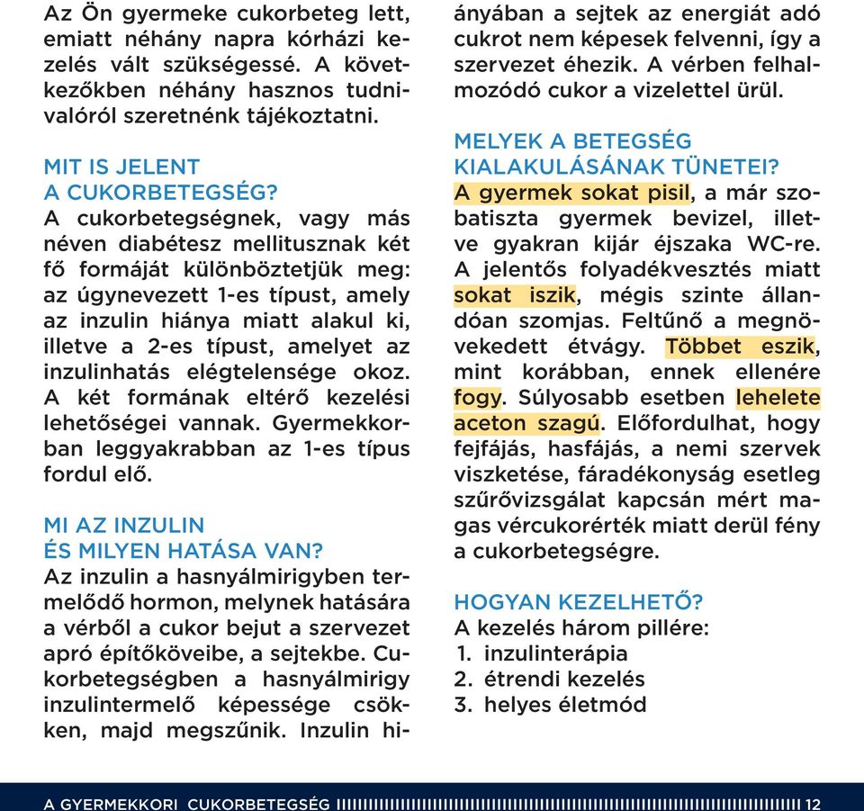 inzulinhatás elégtelensége okoz. A két formának eltérô kezelési lehetô ségei vannak. Gyermekkorban leggyakrabban az 1-es típus fordul elô. Mi az inzulin és milyen hatása van?