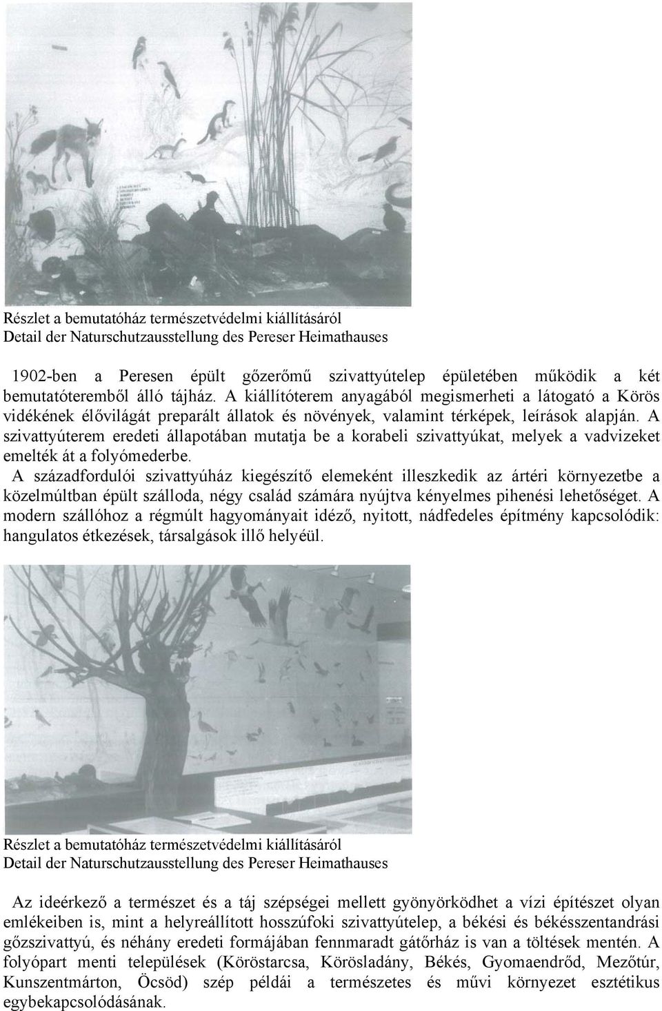 A szivattyúterem eredeti állapotában mutatja be a korabeli szivattyúkat, melyek a vadvizeket emelték át a folyómederbe.