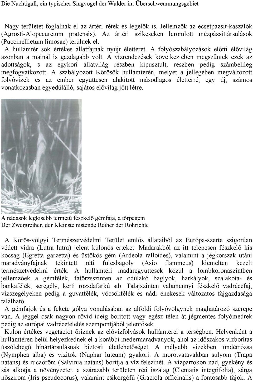 A hullámtér sok értékes állatfajnak nyújt életteret. A folyószabályozások előtti élővilág azonban a mainál is gazdagabb volt.