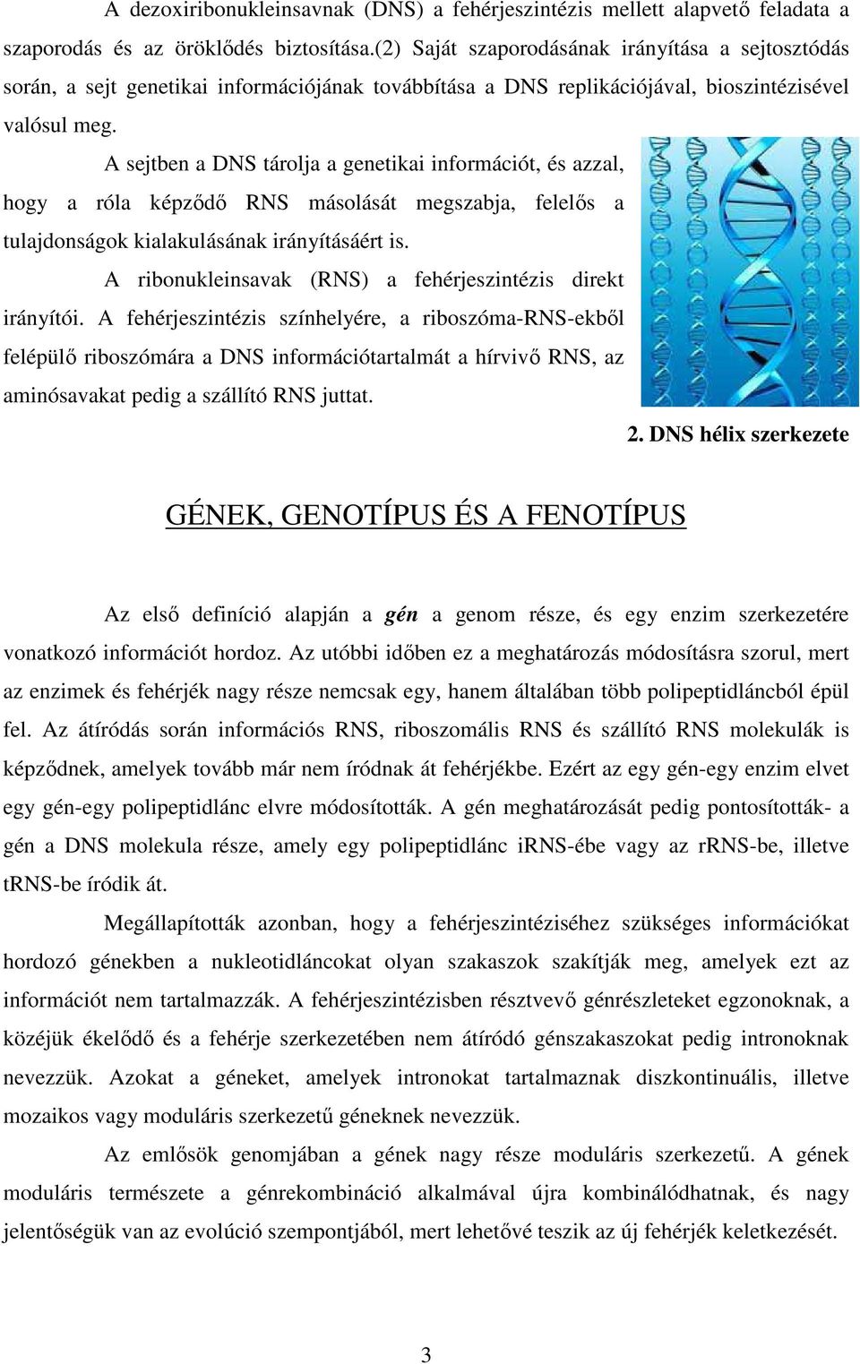 A sejtben a DNS tárolja a genetikai információt, és azzal, hogy a róla képződő RNS másolását megszabja, felelős a tulajdonságok kialakulásának irányításáért is.