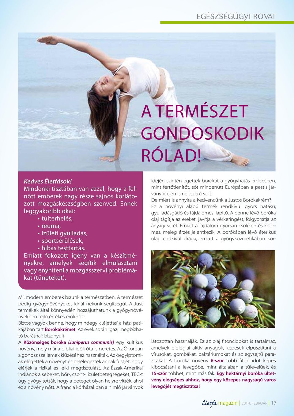 Emiatt fokozott igény van a készítményekre, amelyek segítik elmulasztani vagy enyhíteni a mozgásszervi problémákat (tüneteket). Mi, modern emberek bízunk a természetben.