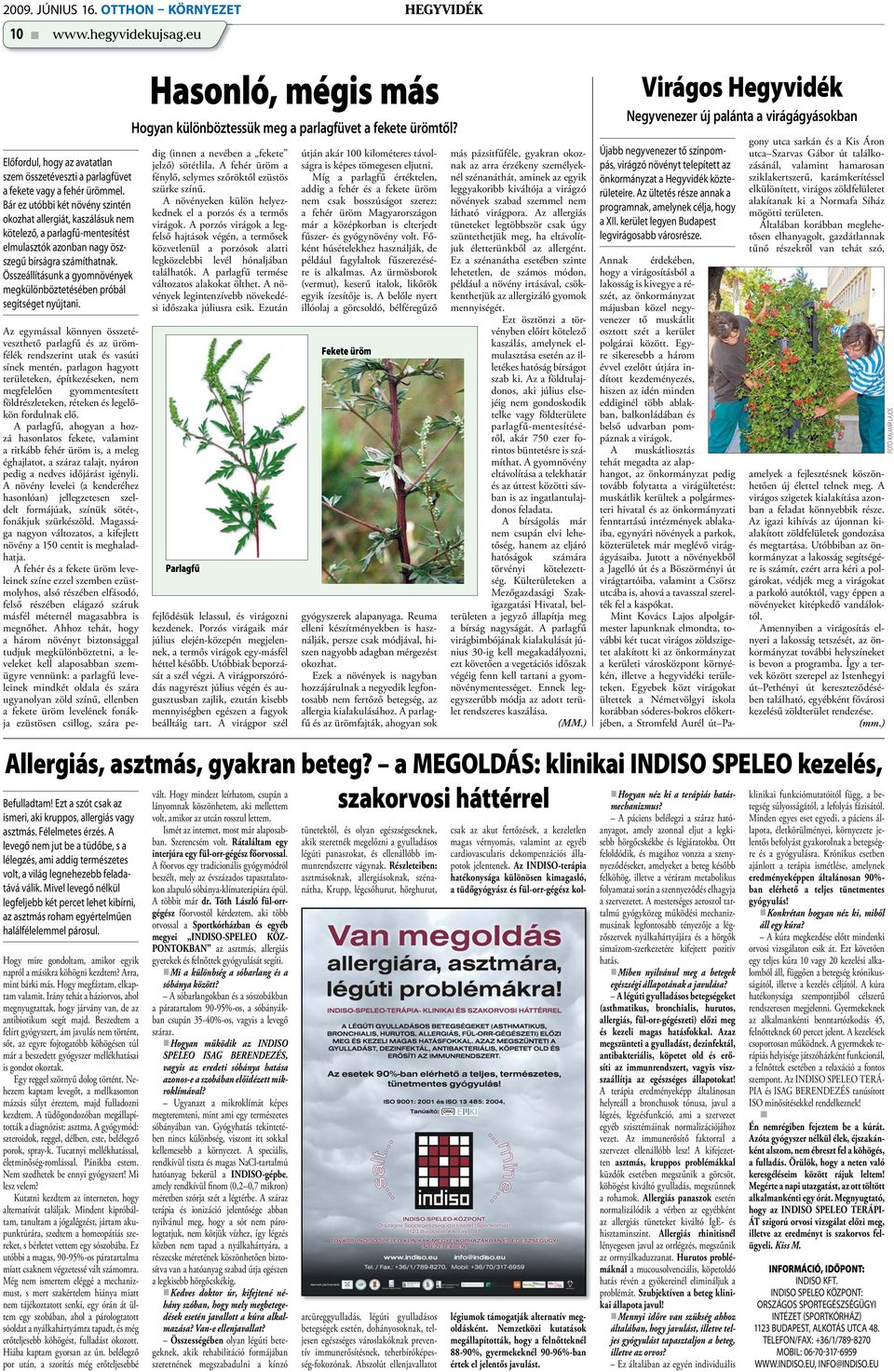 Összeállításunk a gyomnövények megkülönböztetésében próbál segítséget nyújtani. Hasonló, mégis más Hogyan különböztessük meg a parlagfüvet a fekete ürömtől?
