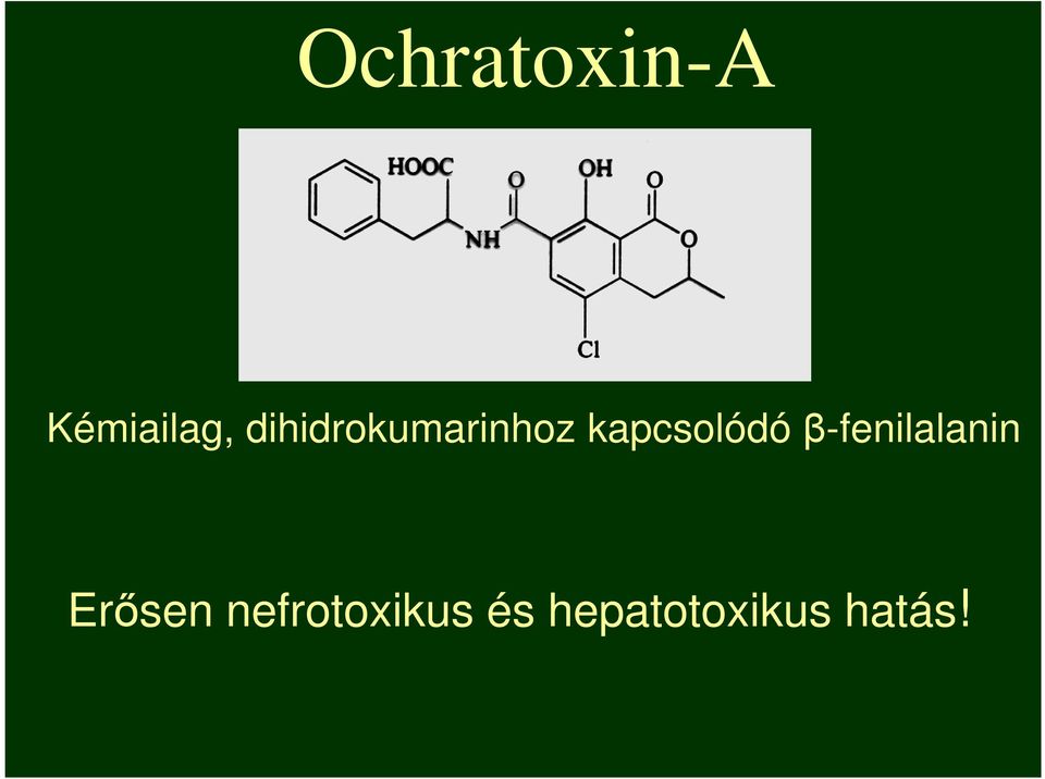 kapcsolódó β-fenilalanin