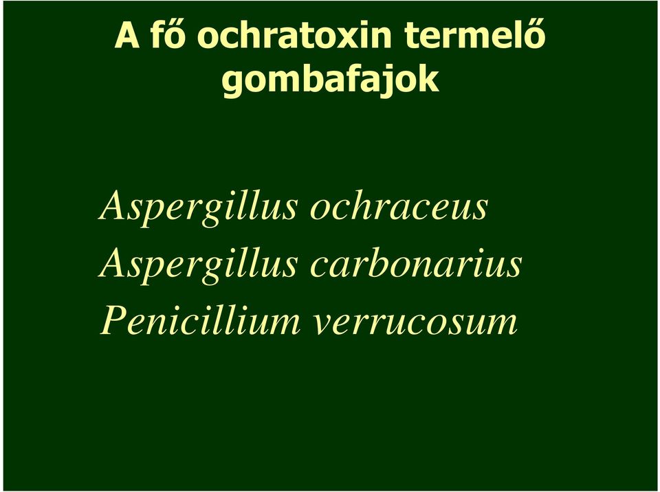 ochraceus Aspergillus