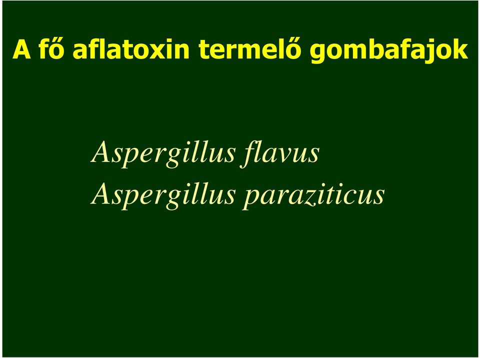 Aspergillus flavus