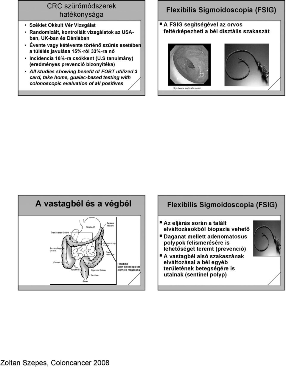 S tanulmány) (eredményes prevenció bizonyítéka) All studies showing benefit of FOBT utilized 3 card, take home, guaiac-based testing with colonoscopic evaluation of all positives Flexibilis