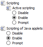 2) Ha ez rendben van, de ennek ellenére nem jelenik meg vagy nem fut a "Verify Java version" parancs, akkor nézzük meg az Internet Explorer biztonsági beállításaiban, hogy engedélyezve van-e a Java