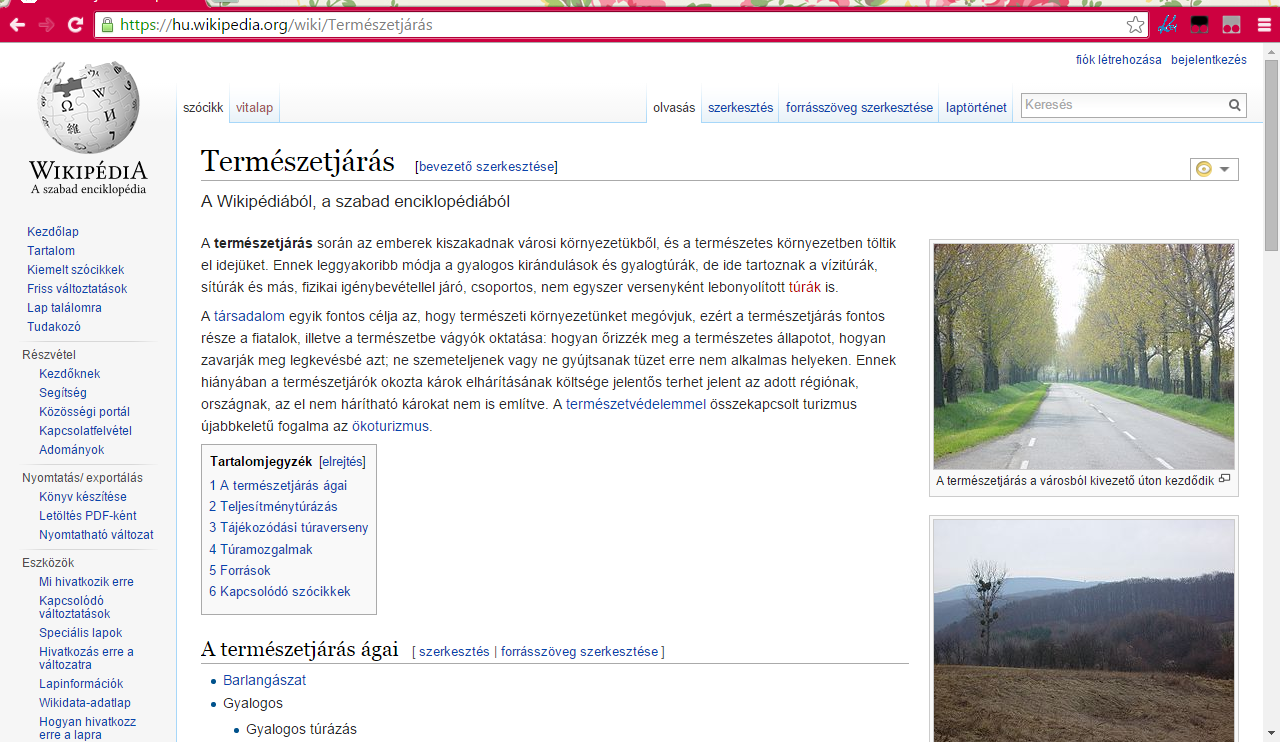 VI.2. Túrázás, túravezetés VI.2.1.