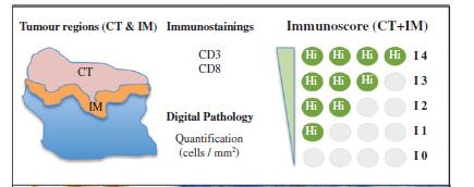 CD45RO-memory T