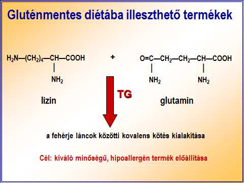 140 mg TG/kg liszt 1.Mt standard 2.