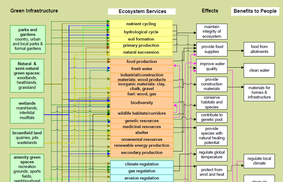 Zöld Infrastruktúra rendszer - Ökoszisztéma szolgáltatási