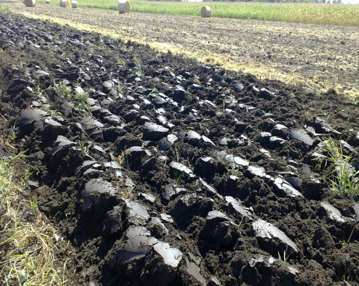 A termőföld jelentősége - A legősibb, a legrégibb természeti erőforrásunk, termelőeszközünk.