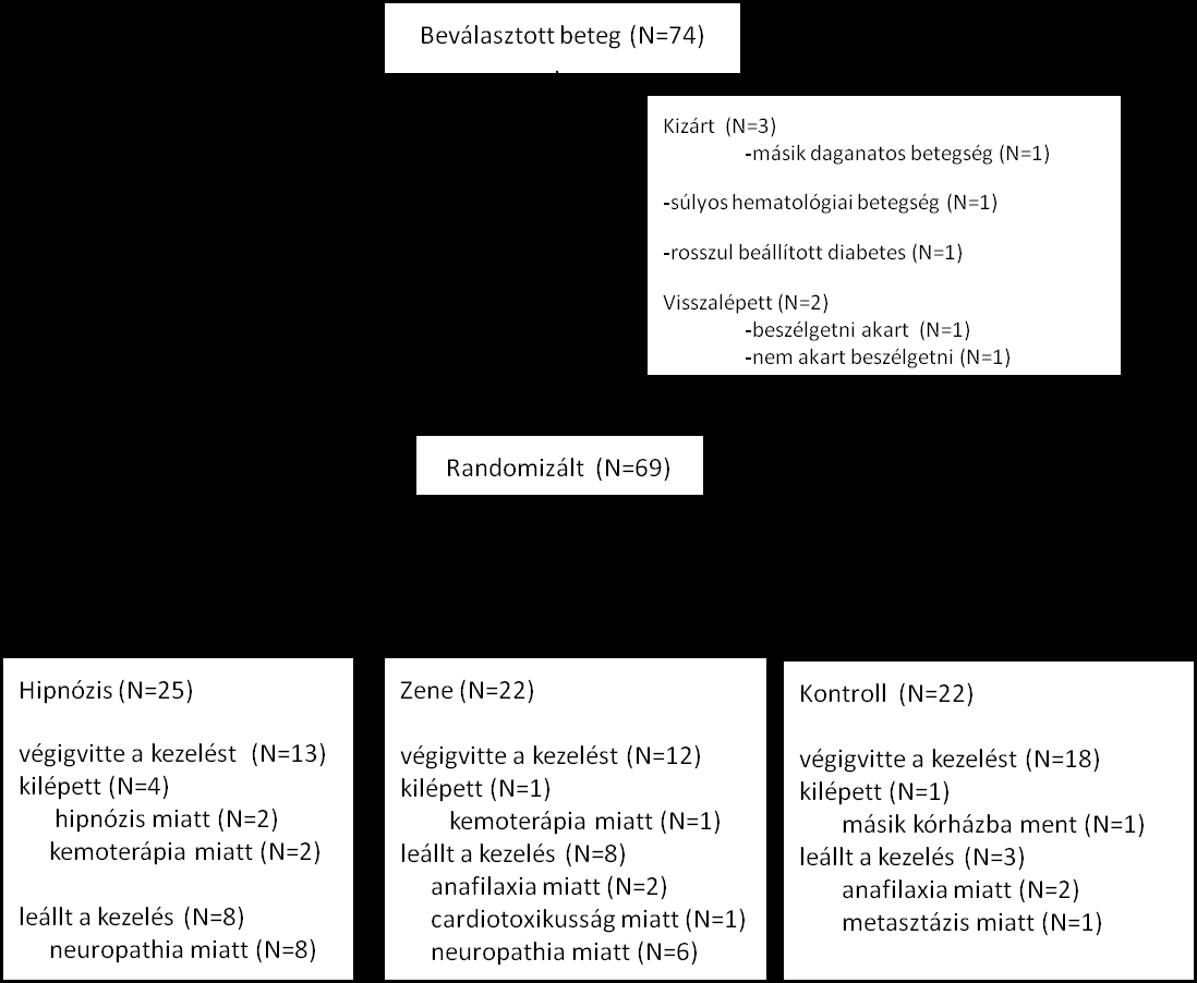A kontroll (N=22) csoportban 18 beteg vitte végig a kezelést, 2 beteg fejezte be anafilaxiás reakció miatt a kezelést idő előtt, melyek az 1. és a7.