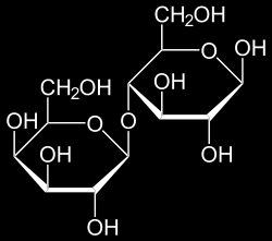 Cukrok v. szénhidrátok A szénatomhoz hidrogén és hidroxil csoport kapcsolódik (H-C-OH)n, és oxo csoportot is találunk a molekulákban.