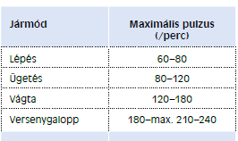 Kockázatértékelés hallgatózásos és tapintásos vizsgálat echokardiográfia,