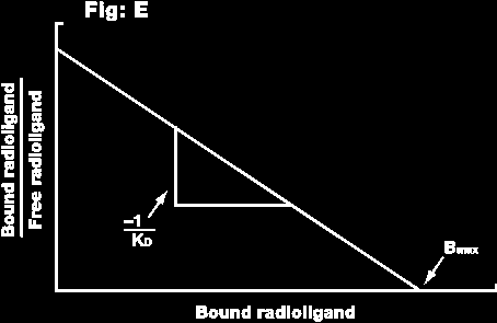 Molekuláris biológiai módszerek Scatchard plot Hill plot Scatchard analízis Az y-tengely a kötött és szabad radioligandumok arányát mutatja. A Bmax és a KD értéke számíthatók.