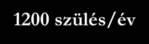 A magas vérnyomás jelentősége terhességben Gyakoriság: 10-15% Szülőnők életkora Ikerterhességek száma Ch.