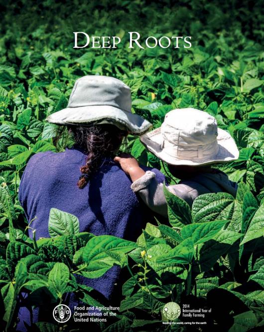 Deep Roots - Kiadvány a Nemzetközi Évről - Exkluzív kiadvány, itt elérhető: http://www.fao.org/3/a-i3976e.