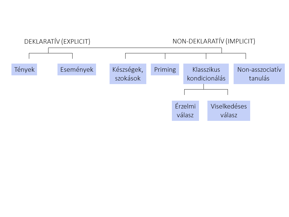 Emlékezeti rendszerek