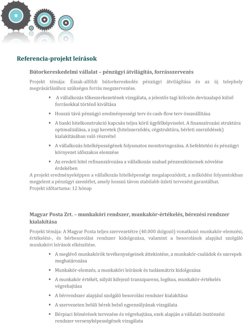 A vállalkozás tőkeszerkezetének vizsgálata, a jelentős tagi kölcsön devizaalapú külső forrásokkal történő kiváltása Hosszú távú pénzügyi eredményességi terv és cash-flow terv összeállítása A banki