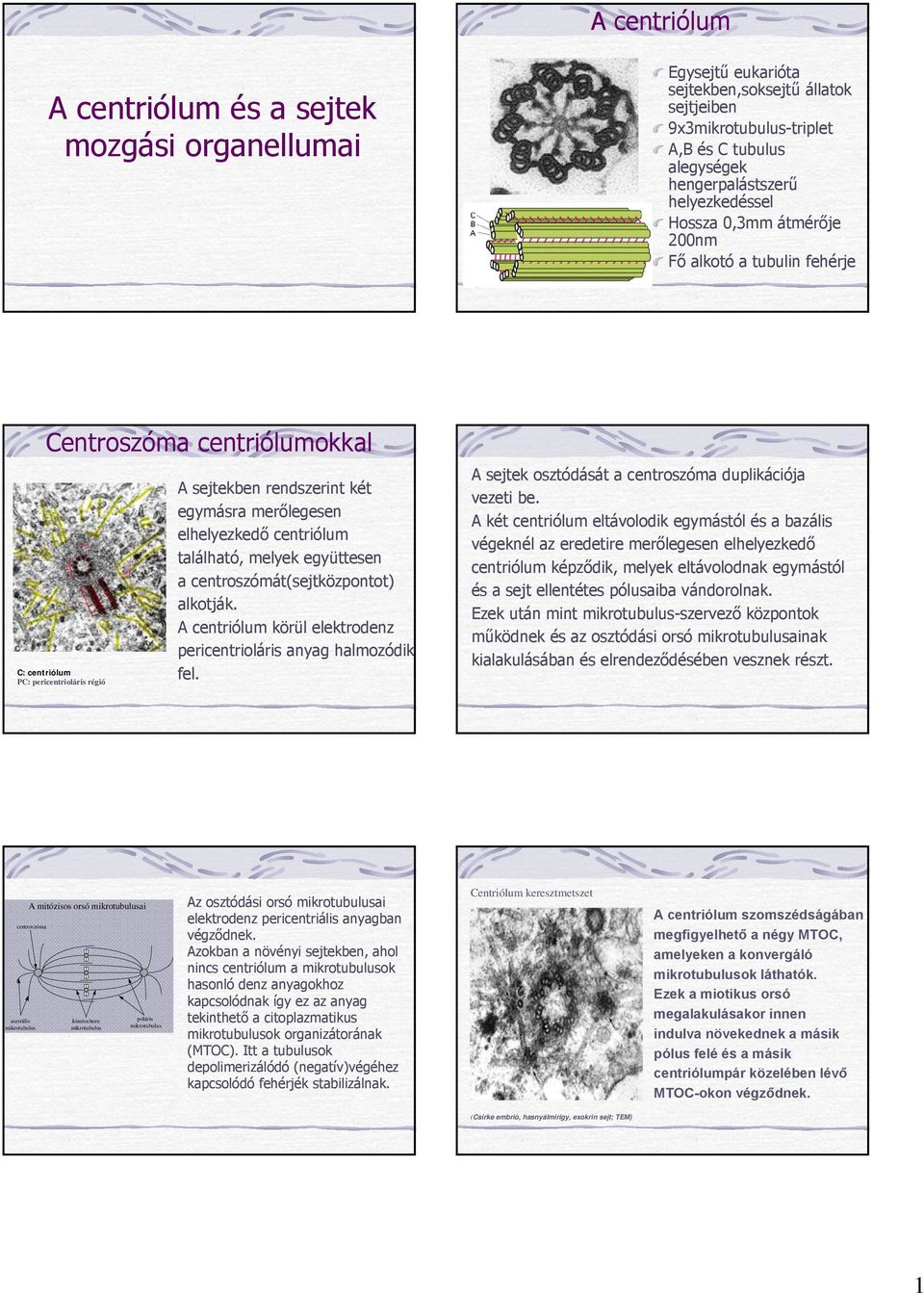 A centriólum és a sejtek mozgási organellumai - PDF Free Download