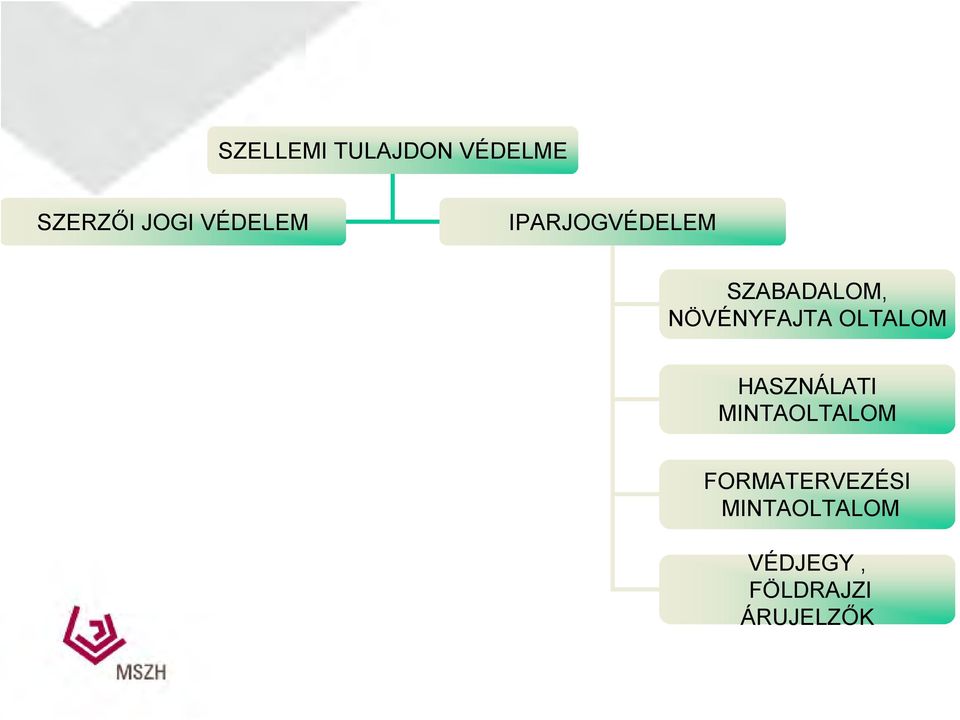 NÖVÉNYFAJTA OLTALOM HASZNÁLATI MINTAOLTALOM