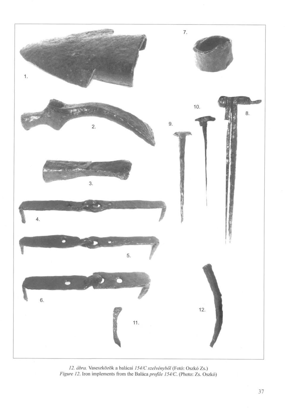(Fotó: Oszkó Zs.) Figure 12.