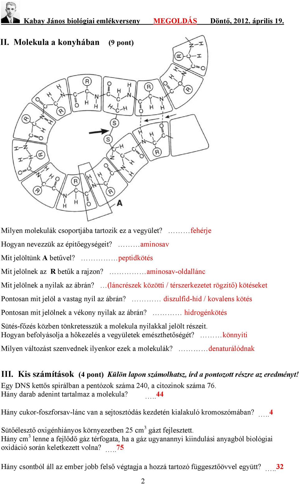 diszulfid-híd / kovalens kötés Pontosan mit jelölnek a vékony nyilak az ábrán? hidrogénkötés Sütés-főzés közben tönkretesszük a molekula nyilakkal jelölt részeit.