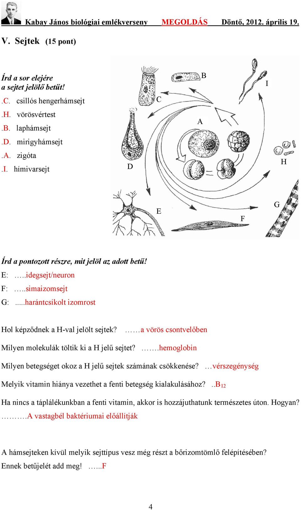 .hemoglobin Milyen betegséget okoz a H jelű sejtek számának csökkenése? vérszegénység Melyik vitamin hiánya vezethet a fenti betegség kialakulásához?