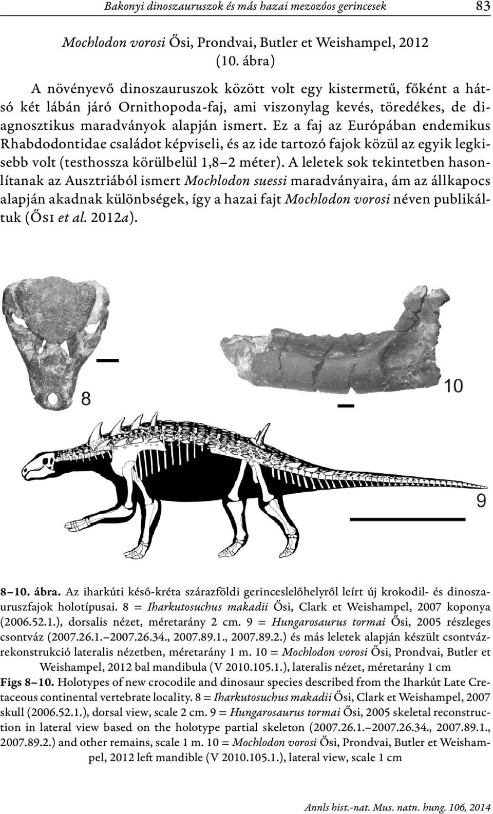 Ez a faj az Európában endemikus Rhabdodontidae családot képviseli, és az ide tartozó fajok közül az egyik legkisebb volt (testhossza körülbelül 1,8 2 méter).