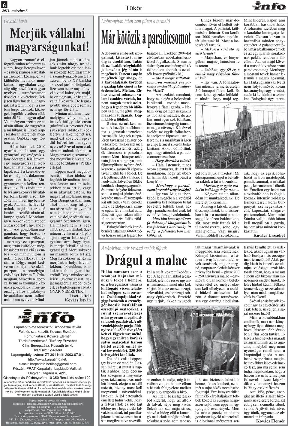 article thumbnail