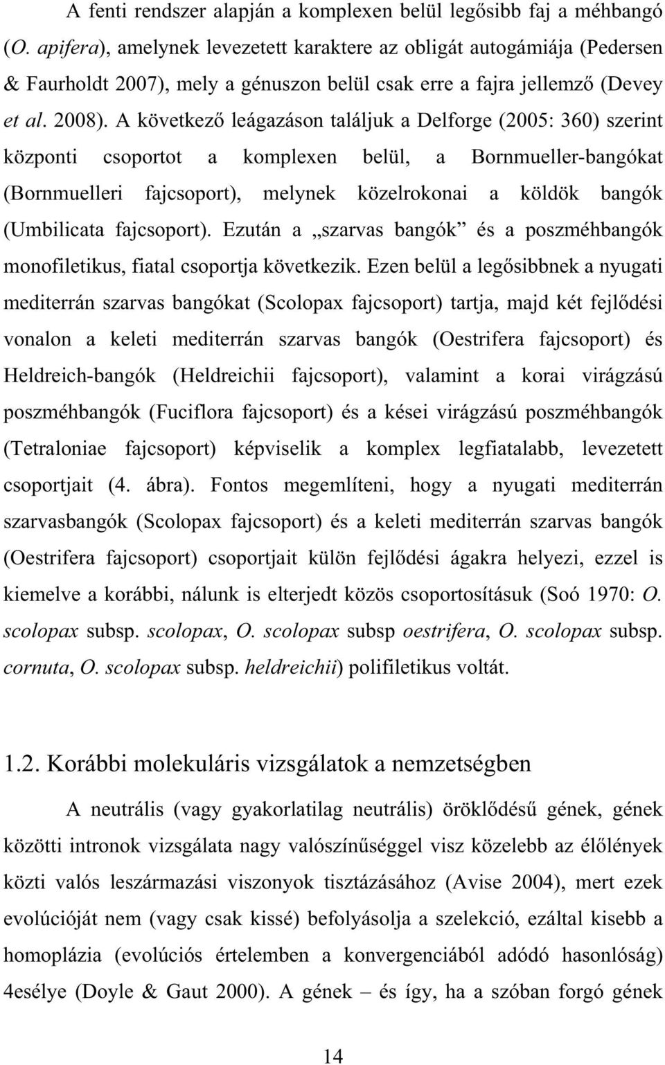 A következ leágazáson találjuk a Delforge (2005: 360) szerint központi csoportot a komplexen belül, a Bornmueller-bangókat (Bornmuelleri fajcsoport), melynek közelrokonai a köldök bangók (Umbilicata