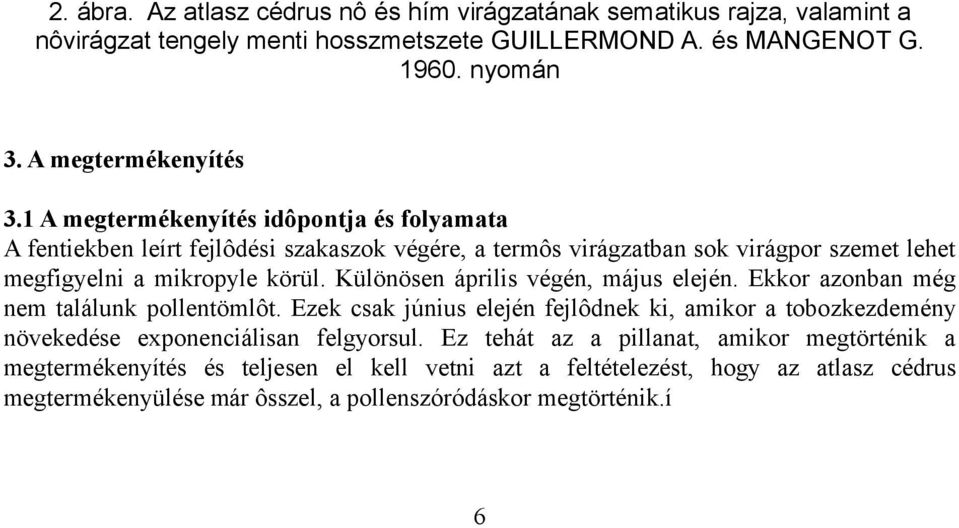 Különösen április végén, május elején. Ekkor azonban még nem találunk pollentömlôt. Ezek csak június elején fejlôdnek ki, amikor a tobozkezdemény növekedése exponenciálisan felgyorsul.