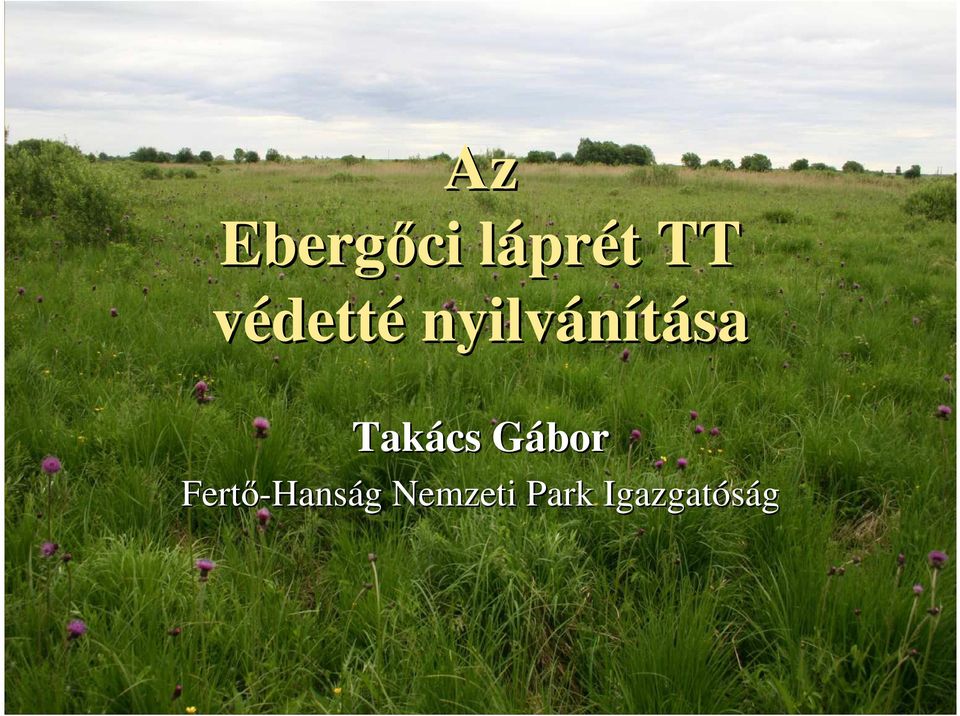 Takács GáborG Fertı-Hans
