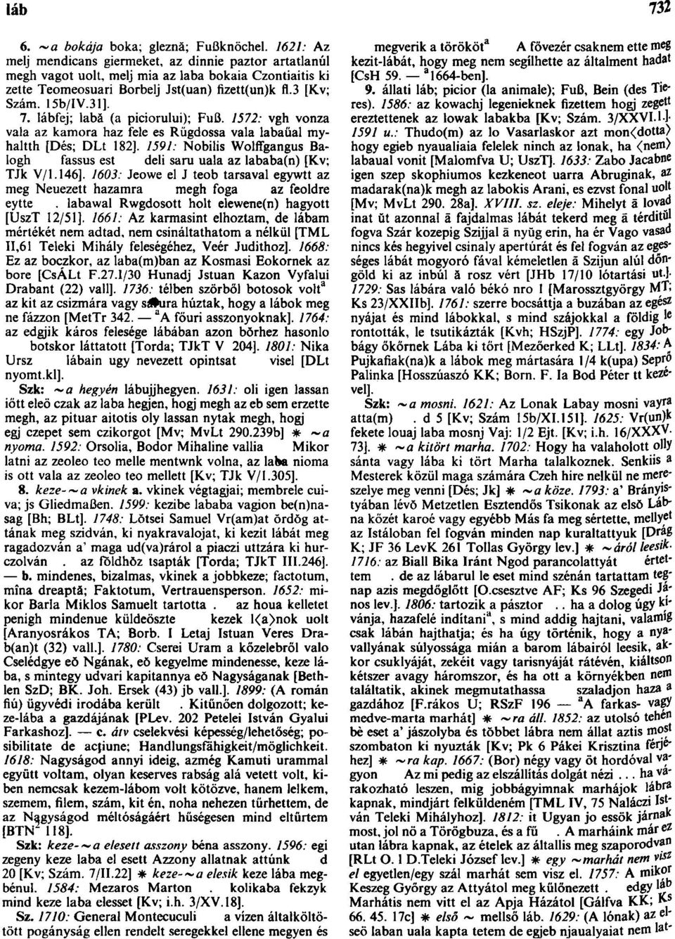 lábfej; labă (a piciorului); Fuß. 1572: vgh vonza vala az kamora haz fele es Rügdossa vala labaüal myhaltth [Dés; DLt 182].