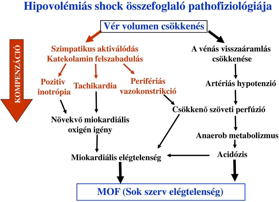 igény Perifériás vazokonstrikció A vénás visszaáramlás csökkenése Artériás hypotenzió Csökkenő
