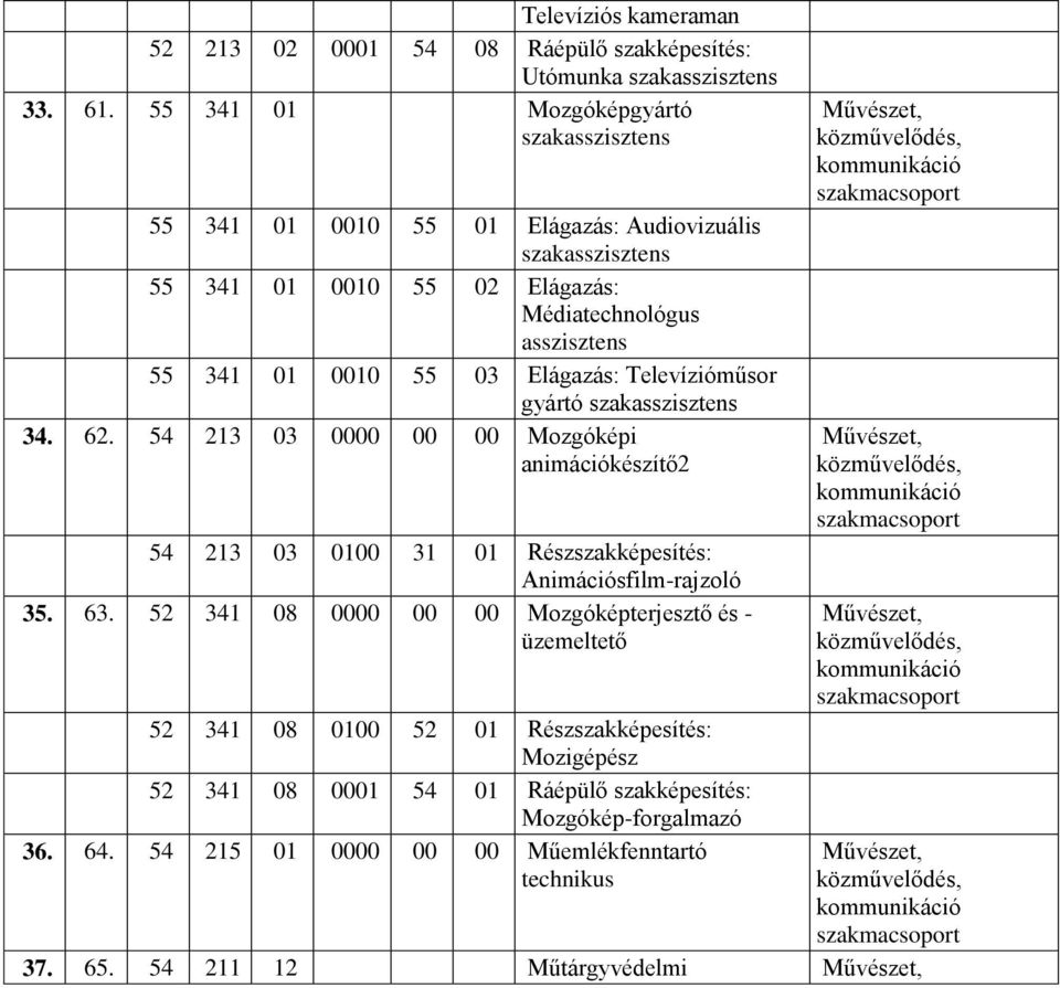 Televízióműsor gyártó szakasszisztens 34. 62. 54 213 03 00 00 Mozgóképi animációkészítő2 54 213 03 31 01 Részszakképesítés: Animációsfilm-rajzoló 35. 63.