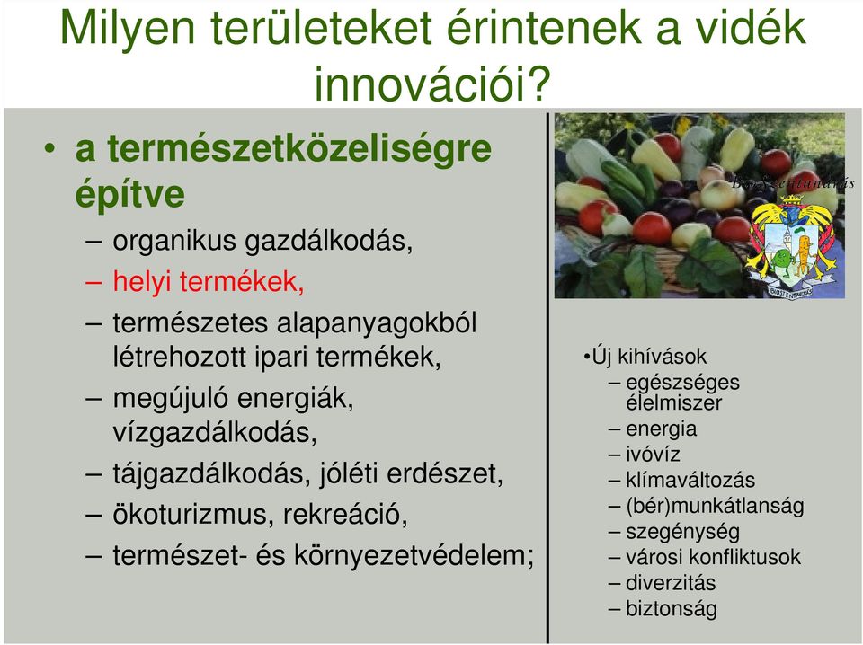 ipari termékek, megújuló energiák, vízgazdálkodás, tájgazdálkodás, jóléti erdészet, ökoturizmus, rekreáció,