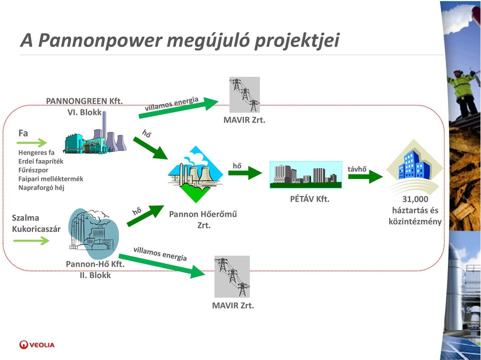 Hengeres fa Erdei faapríték Fűrészpor Faipari melléktermék Napraforgó