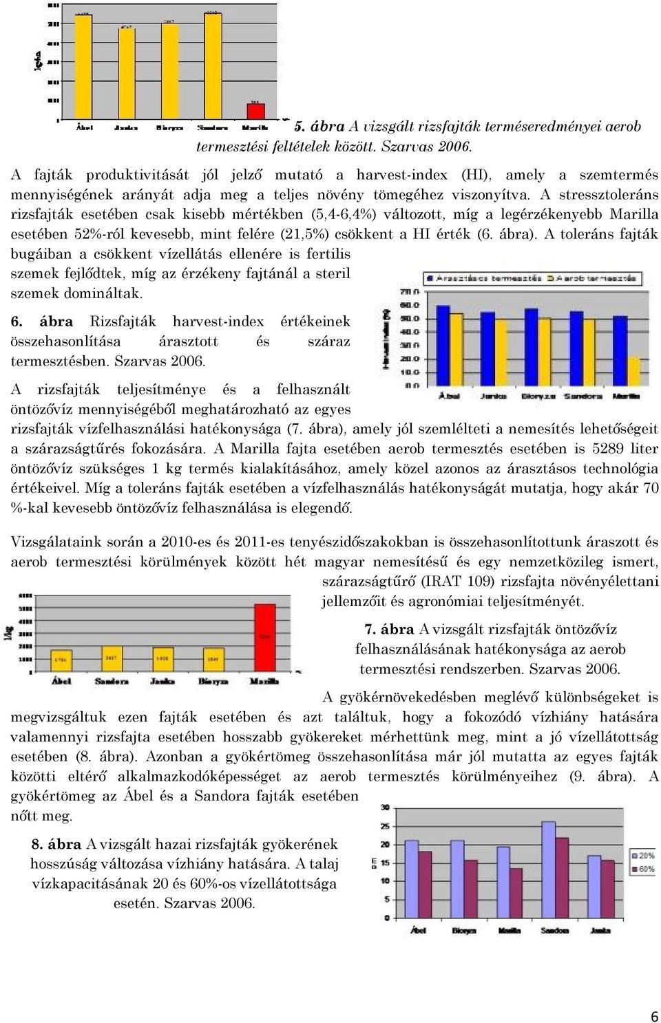 A stressztoleráns rizsfajták esetében csak kisebb mértékben (5,4-6,4%) változott, míg a legérzékenyebb Marilla esetében 52%-ról kevesebb, mint felére (21,5%) csökkent a HI érték (6. ábra).
