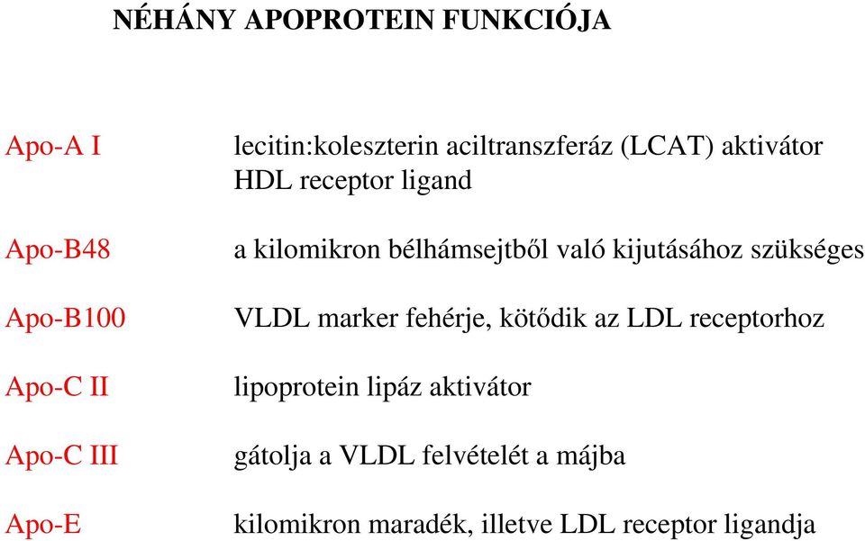 bélhámsejtbıl való kijutásához szükséges VLDL marker fehérje, kötıdik az LDL receptorhoz