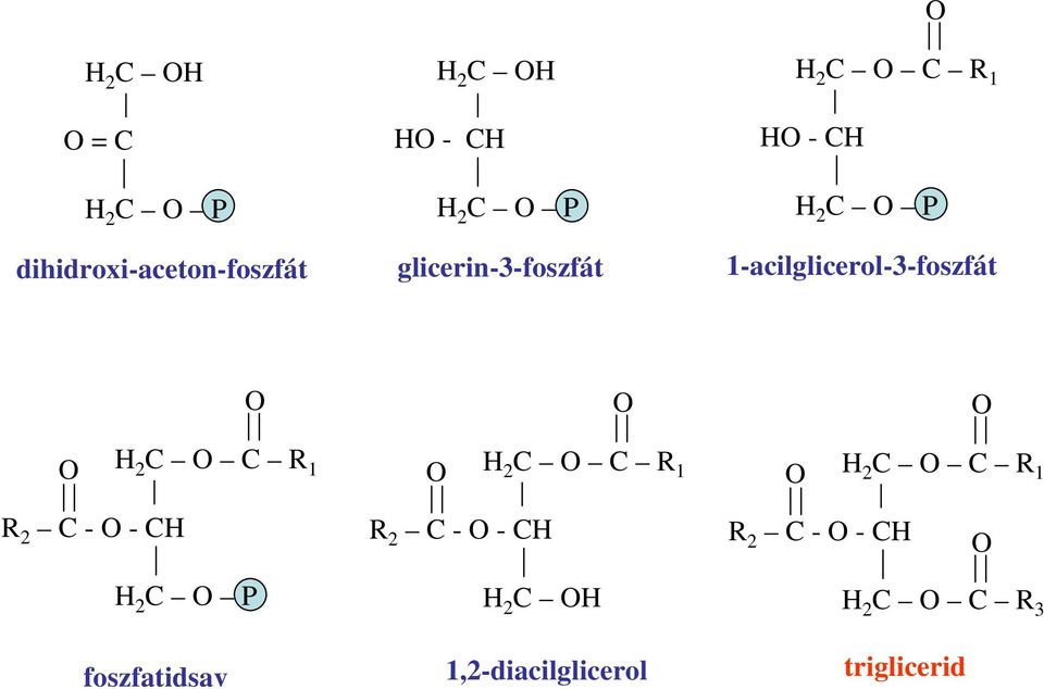 H 2 C C R 1 H 2 C C R 1 H 2 C C R 1 R 2 C - - CH R 2 C - - CH R 2 C - -