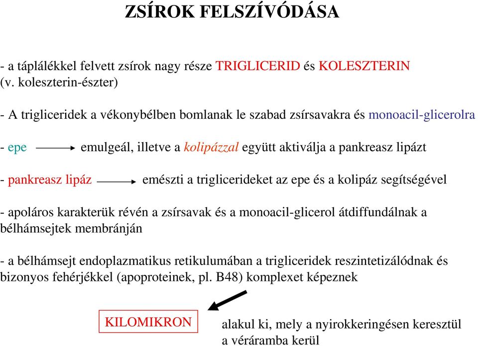 pankreasz lipázt - pankreasz lipáz emészti a triglicerideket az epe és a kolipáz segítségével - apoláros karakterük révén a zsírsavak és a monoacil-glicerol