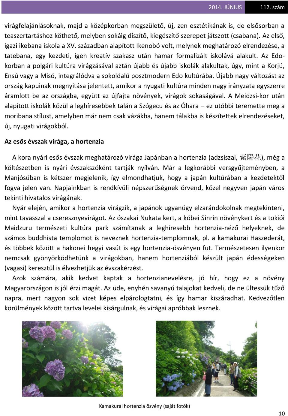 Az Edokorban a polgári kultúra virágzásával aztán újabb és újabb iskolák alakultak, úgy, mint a Korjú, Ensú vagy a Misó, integrálódva a sokoldalú posztmodern Edo kultúrába.