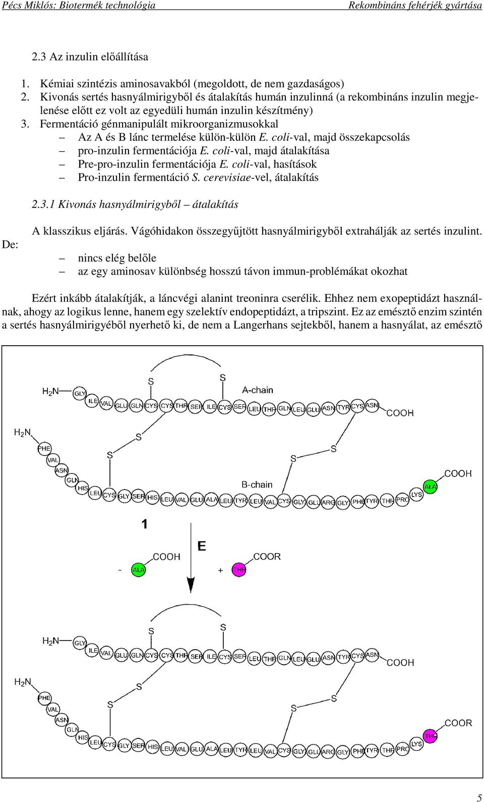 Fermentáció génmanipulált mikroorganizmusokkal Az A és B lánc termelése külön-külön E. coli-val, majd összekapcsolás pro-inzulin fermentációja E.