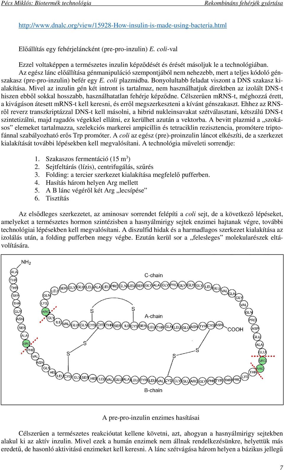 Az egész lánc előállítása génmanipuláció szempontjából nem nehezebb, mert a teljes kódoló génszakasz (pre-pro-inzulin) befér egy E. coli plazmidba.